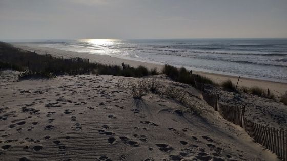 Dunas de Mira - Gândara