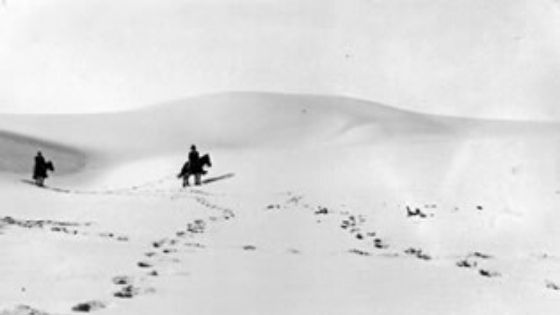 Dunas da Gândara - antes da Fixação com vegetação