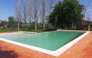 Salted and heated Swimming Pool - greenside of Sea HostelPool